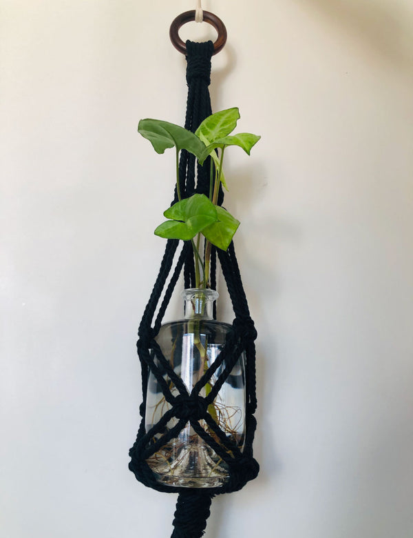 Black Macrame Plant Hanger And Bottle