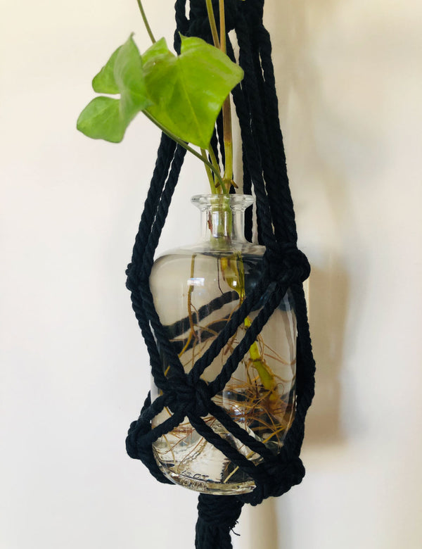 Black Macrame Plant Hanger And Bottle