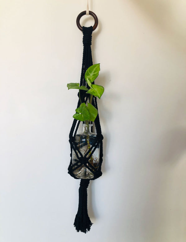 Black Macrame Plant Hanger And Bottle