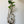 Load image into Gallery viewer, White Macrame Plant Hanger And Bottle