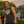 Load image into Gallery viewer, It's All Life Cut-Off Tee
