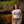 Load image into Gallery viewer, Astrix Rolled Sleeve Tee