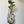 Load image into Gallery viewer, White Macrame Plant Hanger And Bottle

