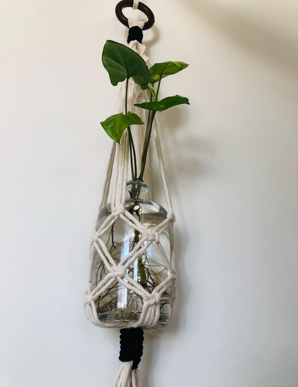 bottle plant hanger White Macrame Plant Hanger And Bottle – Earthie